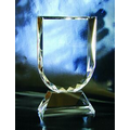 Primary Optical Crystal Award